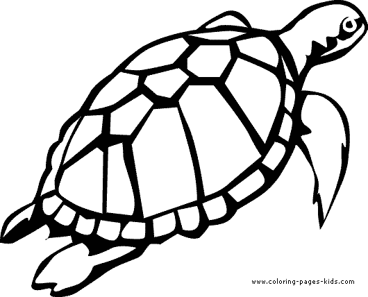 Turtle coloring pages, color plate, coloring sheet,printable coloring picture