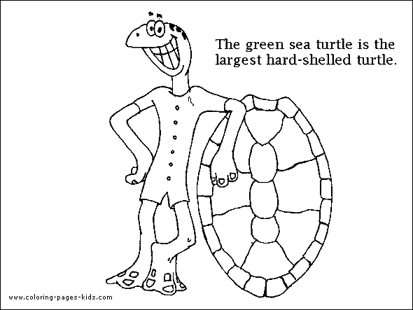 Turtle coloring pages, color plate, coloring sheet,printable coloring picture