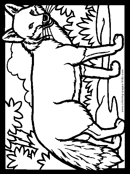 Wolf coloring pages, color plate, coloring sheet,printable coloring picture