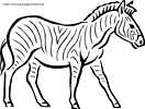 Zebra coloring image