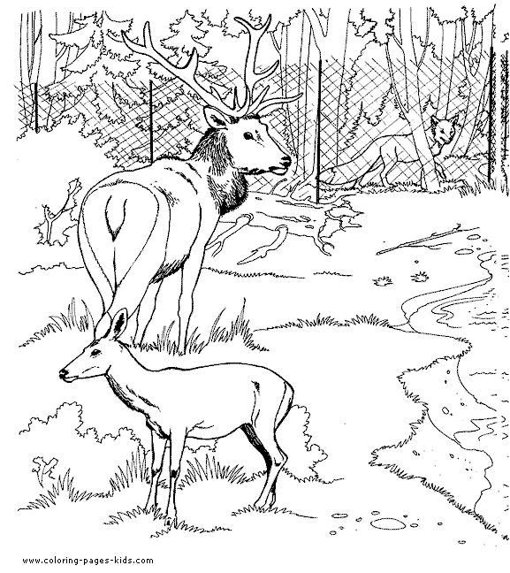 coloring pages for kids animals. Zoo animals Coloring pages