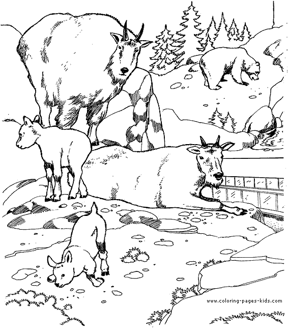 zoo animal coloring page, zoo color page