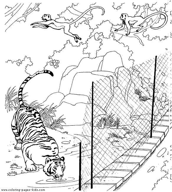 Monkeys and a tiger color page.