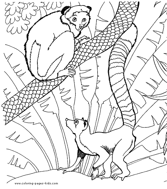 zoo animal coloring page, zoo color page