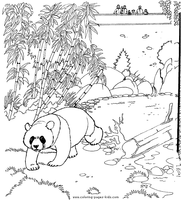 Panda bear color page