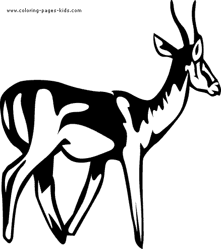Gazelle coloring page, zoo color page