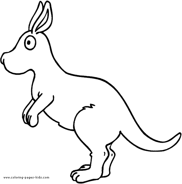 Kangaroo coloring page, zoo color page