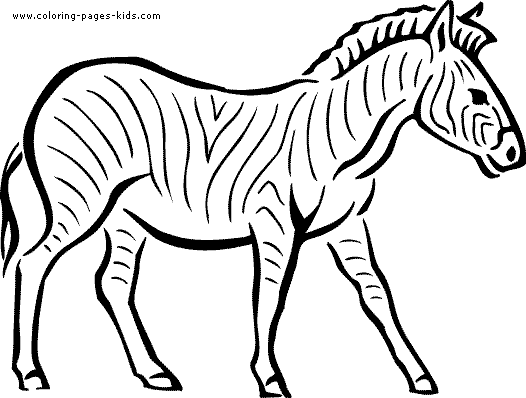 Zebra color page