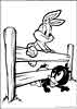 Baby Looney Tunes coloring pages