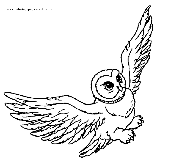 Hedwig from Harry Potter color page cartoon characters coloring pages