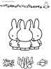 Miffy color page, cartoon coloring pages picture print