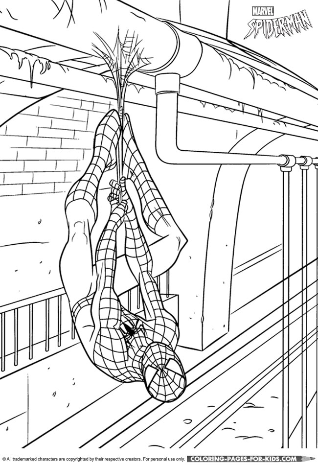 Spider-Man hanging colouring page