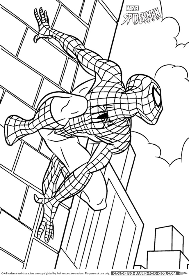 Spider-Man coloring
