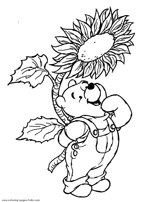 Winnie the Pooh color page, disney coloring pages, color plate, coloring sheet,printable coloring picture