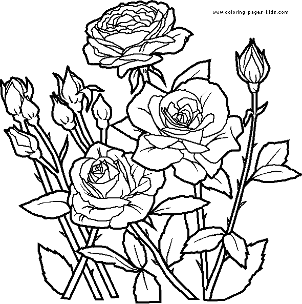 Alice In Wonderland Coloring Pages 2010. 2010 coloring pages flowers