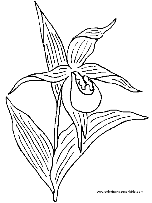 Flowers coloring pages, color plate, coloring sheet,printable coloring picture