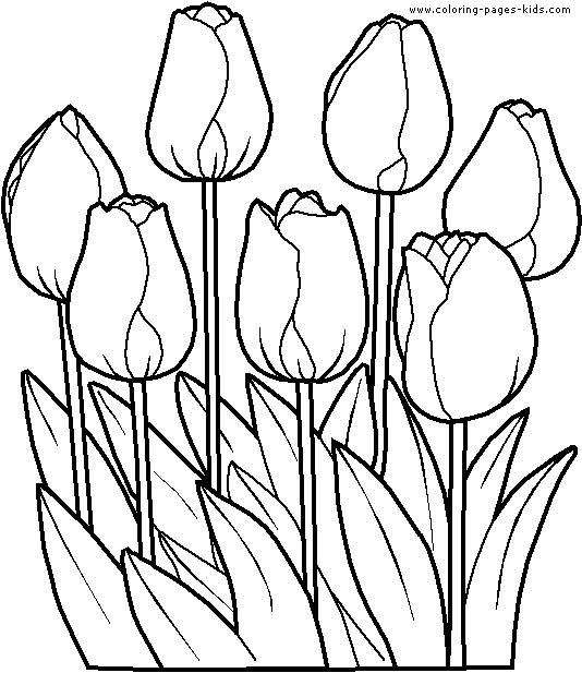 flower coloring pages for girls. Tulips Coloring Page: Tulips