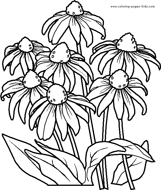 Flowers coloring pages, color plate, coloring sheet,printable coloring picture