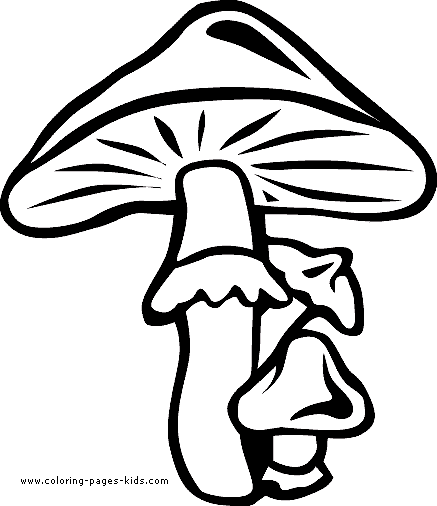 Toadstool Flowers coloring pages, color plate, coloring sheet,printable coloring picture