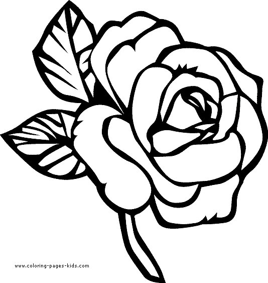 Rose color page, Flowers coloring pages, color plate, coloring sheet,printable coloring picture