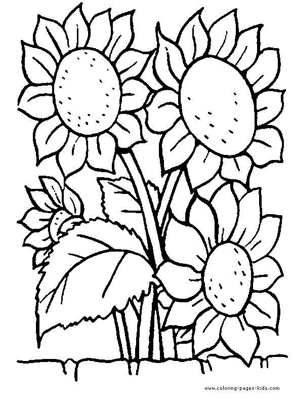Sunflowers color page, Flowers coloring pages, color plate, coloring sheet,printable coloring picture