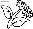 Sunflower coloring pages for kids