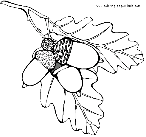 Leaf color page,  coloring pages, color plate, coloring sheet,printable coloring picture