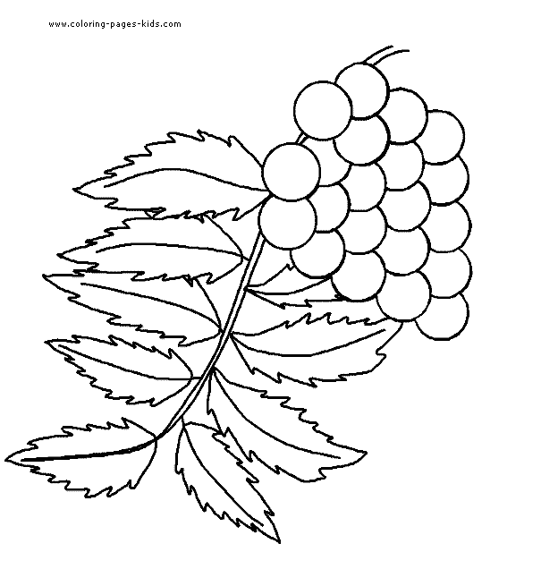 Leaf color page,  coloring pages, color plate, coloring sheet,printable coloring picture
