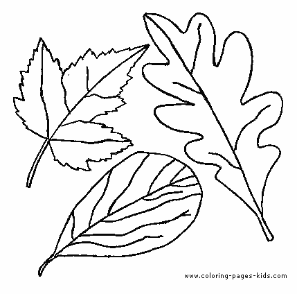 Leaves Leaf color page,  coloring pages, color plate, coloring sheet,printable coloring picture