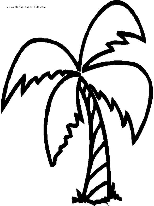 palm tree coloring pages - photo #14