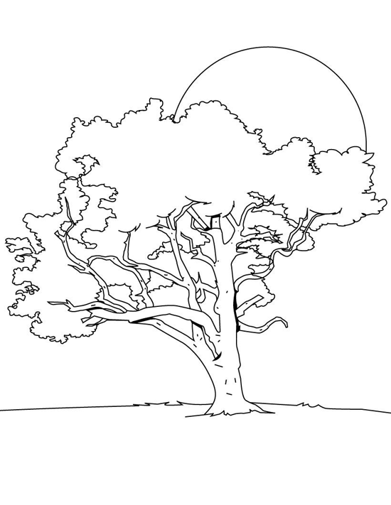 Tree color page, coloring pages, color plate, coloring sheet,printable coloring picture