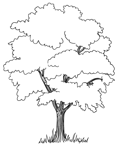 Tree color page, coloring pages, color plate, coloring sheet,printable coloring picture