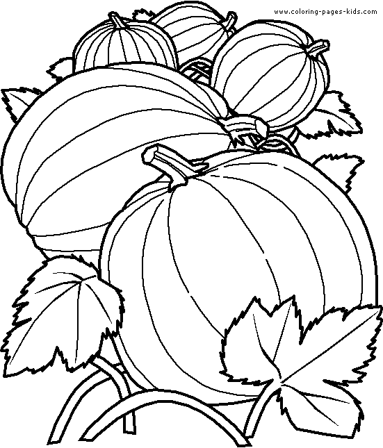 Pumpkins Vegetable color page, coloring pages, color plate, coloring sheet,printable coloring picture