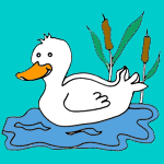 Ducks coloring pages