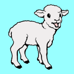 Sheep coloring pages for kids