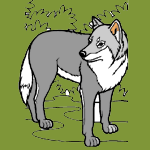 Wolves coloring pages