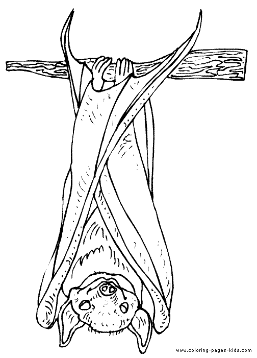 Bats Coloring Page - Bat hanging upside down