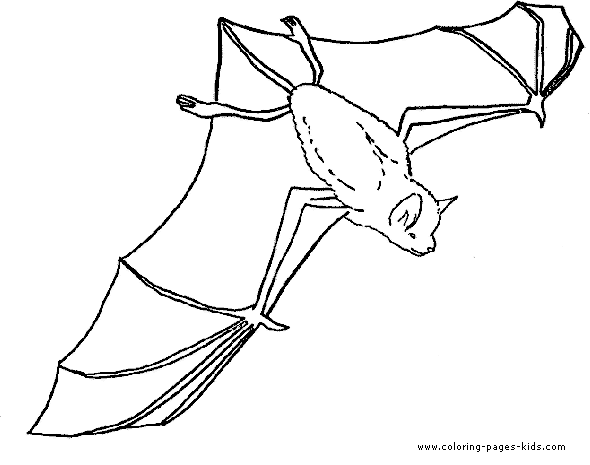 bat coloring, bats, animal coloring pages, color plate, coloring sheet,printable coloring picture