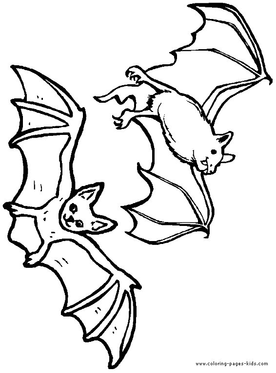 bat coloring, bats, animal coloring pages, color plate, coloring sheet,printable coloring picture