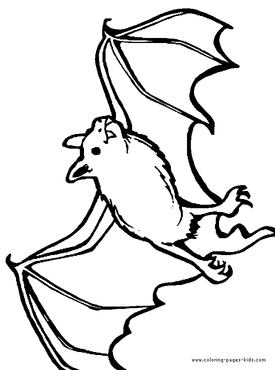 bat coloring, bats, animal coloring pages, color plate, coloring sheet,printable coloring picture