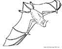 Flying Bat coloring
