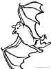 Bat coloring pages for kids