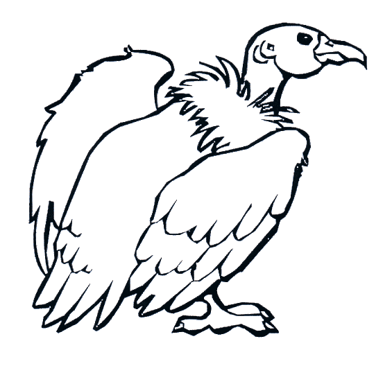 Vulture coloring page