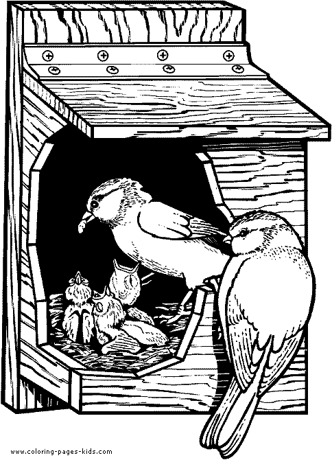 Birdhouse birds coloring sheet picture