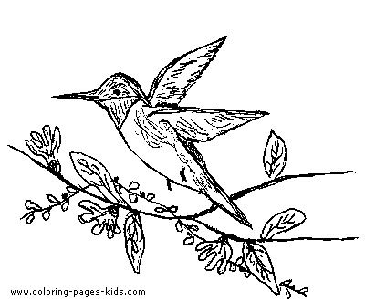A cute little bird with twigs and leaves.