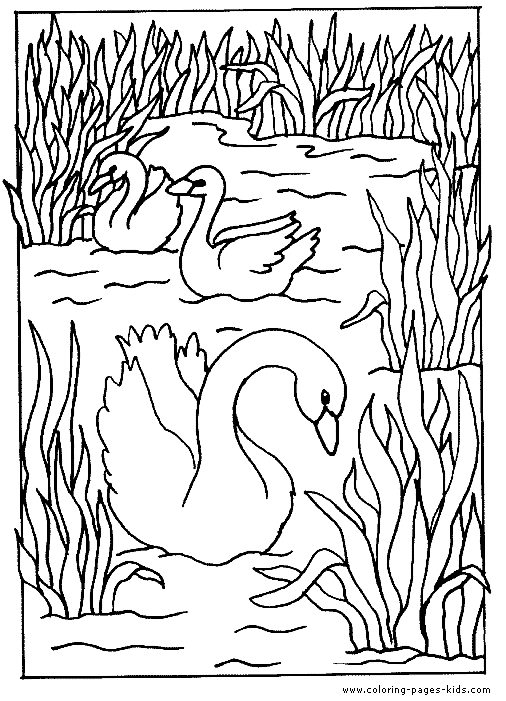 Swans coloring page for kids colouring sheet