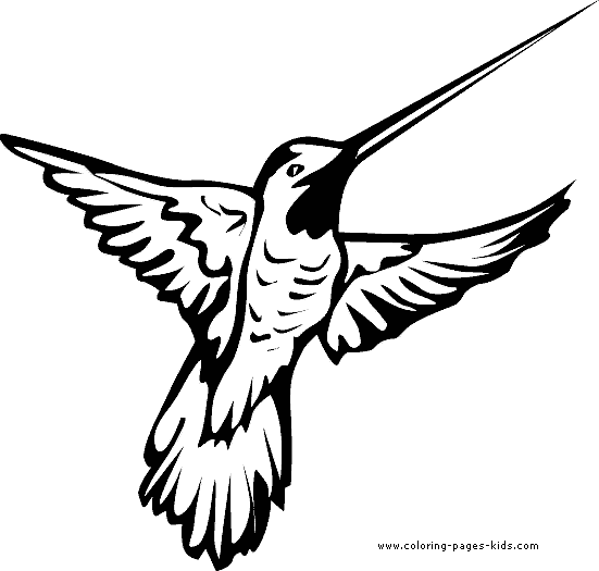 Hummingbird color page printable coloring picture