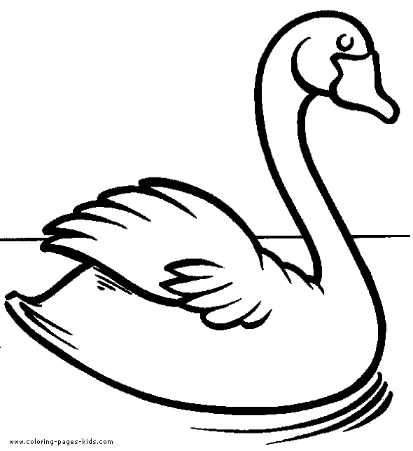 Swan color page, bird coloring plate,animal coloring pages, color plate, coloring sheet,printable coloring picture
