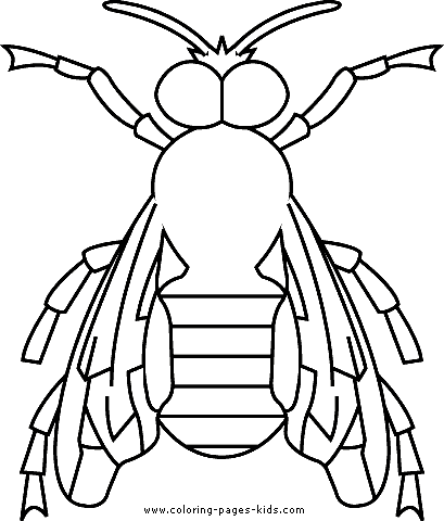 Fly coloring page for kids
