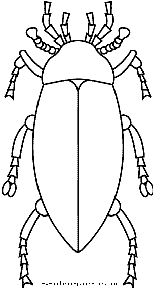 Bug coloring picture colouring sheet